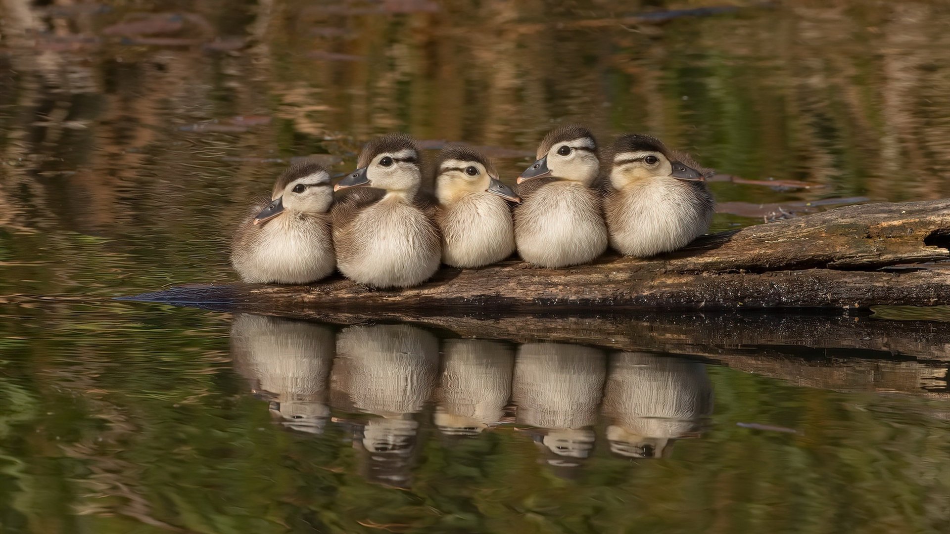 kaiyun官方入口登录-VALORANT 俱乐部投资力度持续加大，valorant百科