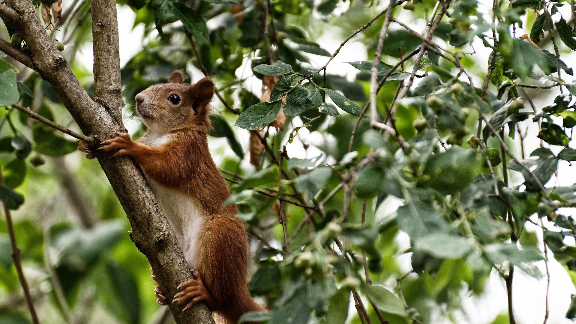 开云·体育官网-_魔术逆境奋起，连胜势头一发不可收拾_，2021魔术揭秘