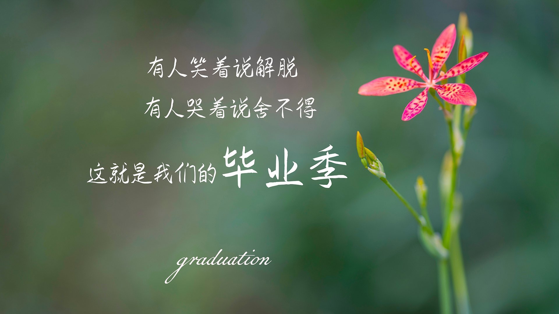 _魔术逆境奋起,连胜势头一发不可收拾_,2021魔术揭秘