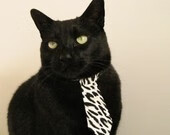 “篮球梦巡演”走进偏远乡村,点燃孩子们的运动热情,农村孩子的篮球梦