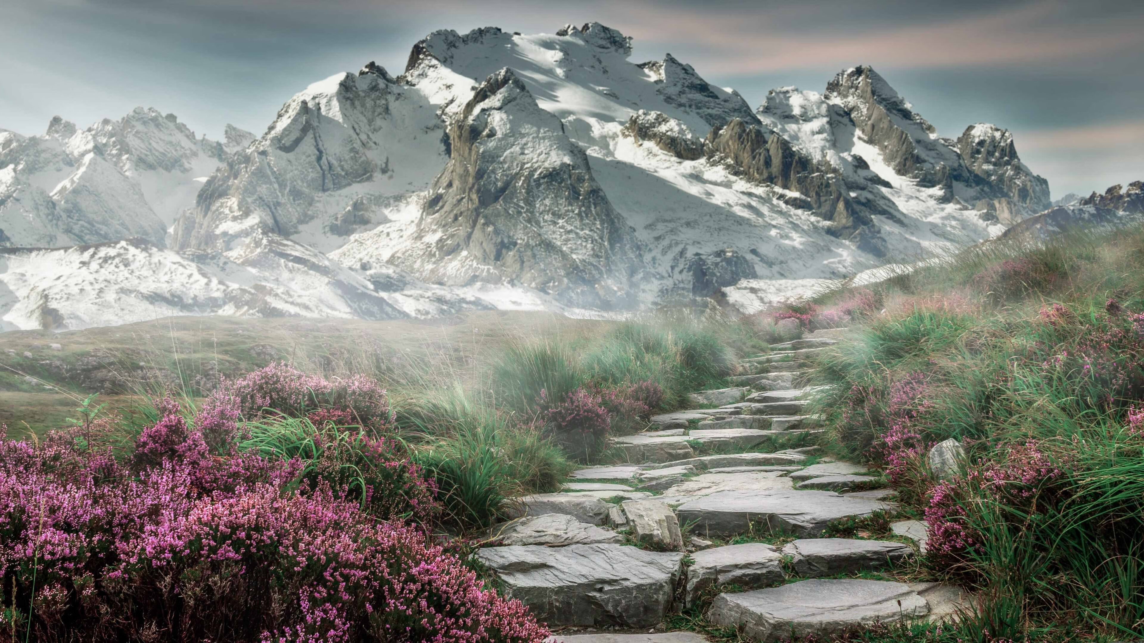 开云官网APP下载-姚明回应篮球改革质疑：愿承担一切责任，姚明篮球改革方案