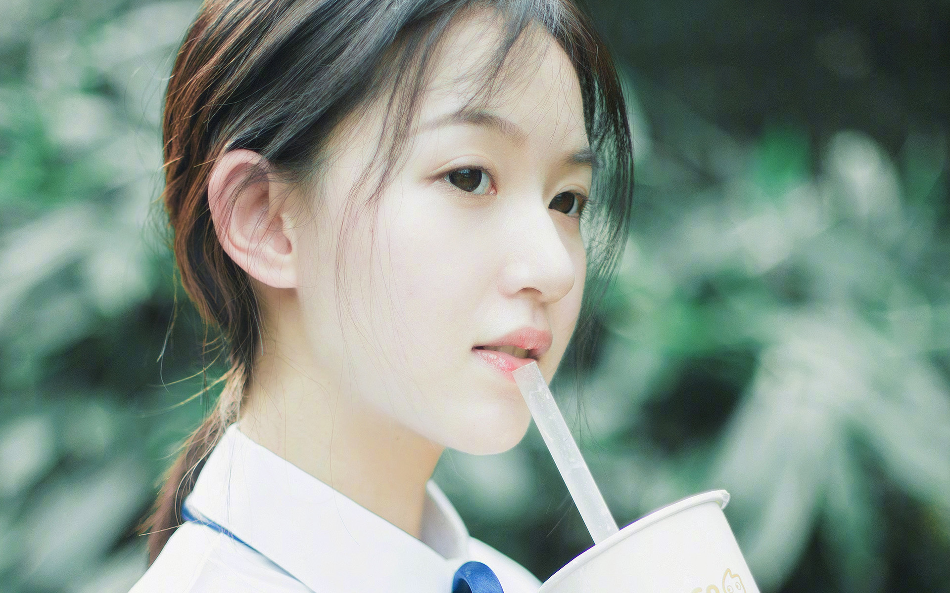 民族传统舞狮比赛,文化运动的欢乐盛典