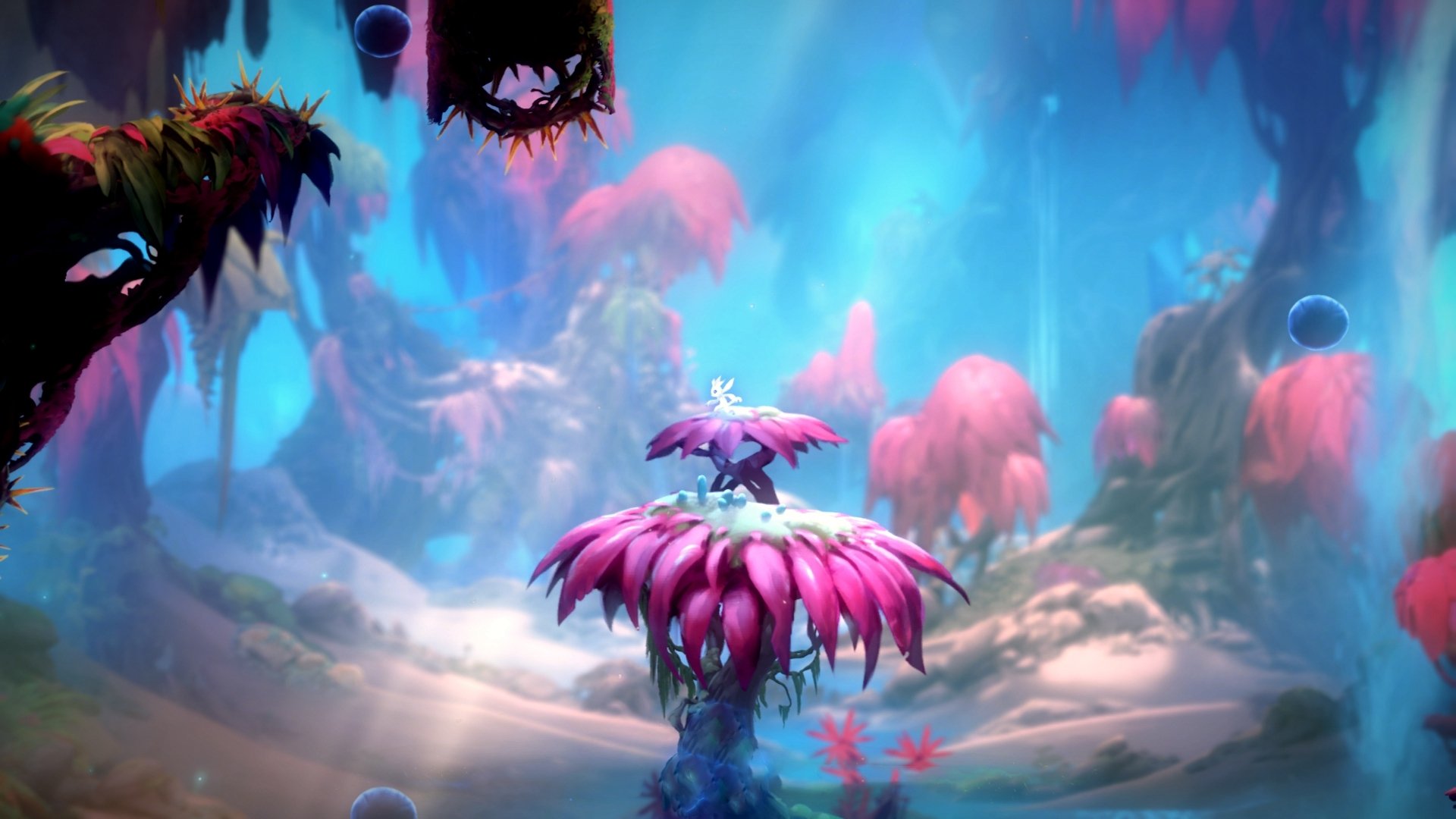 特色草原骑马比拼,民族风情与运动激情结合,草原骑马的视频播放