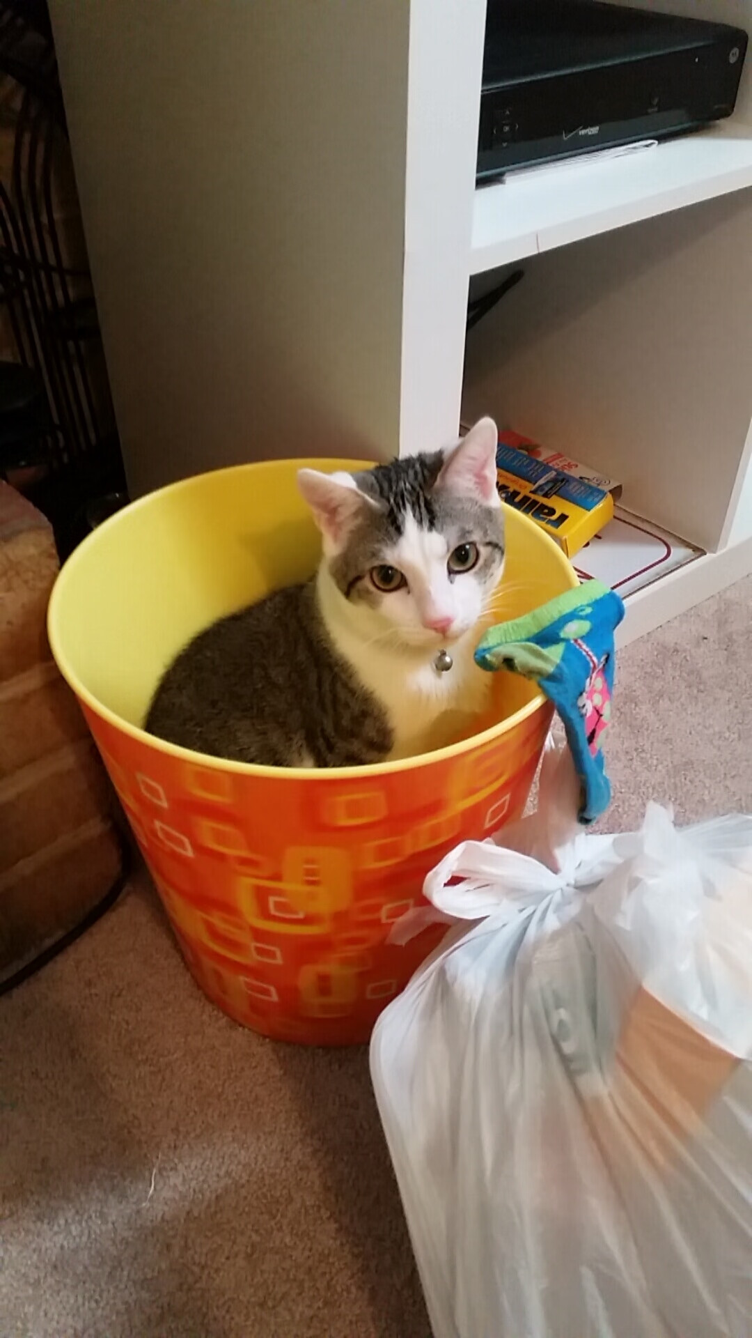 kaiyun网站-社交媒体热话题：台球运动引发全民讨论，台球体育运动