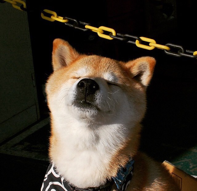 开云体育APP下载-足球运动的奇葩纪录，刷新你的认知！，足球界的奇葩