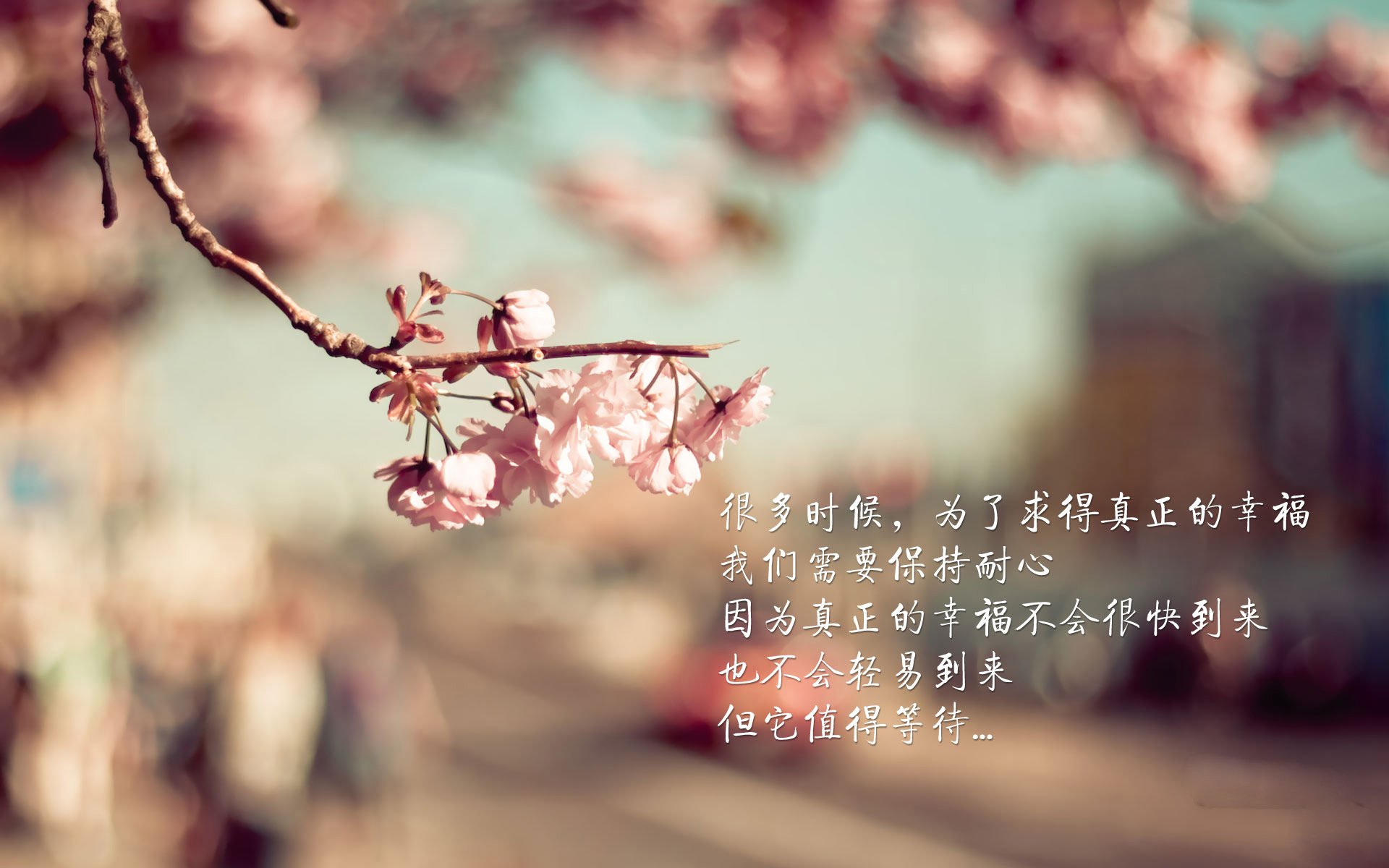 全北现代阵容轮换收到成效,全北现代近期战绩