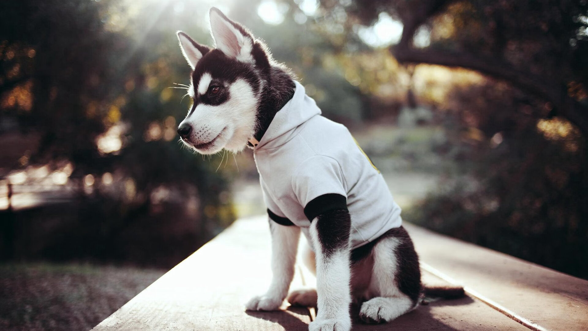 开云官方-全北蔚山将展开双线作战挑战，全北和蔚山关系