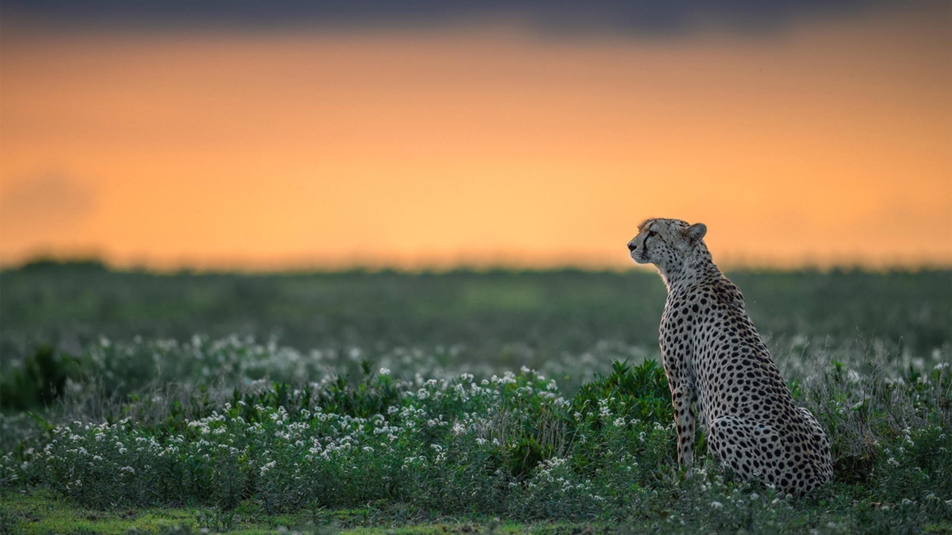 势均力敌!欧国联赛场上对手拼尽全力,欧国联比赛