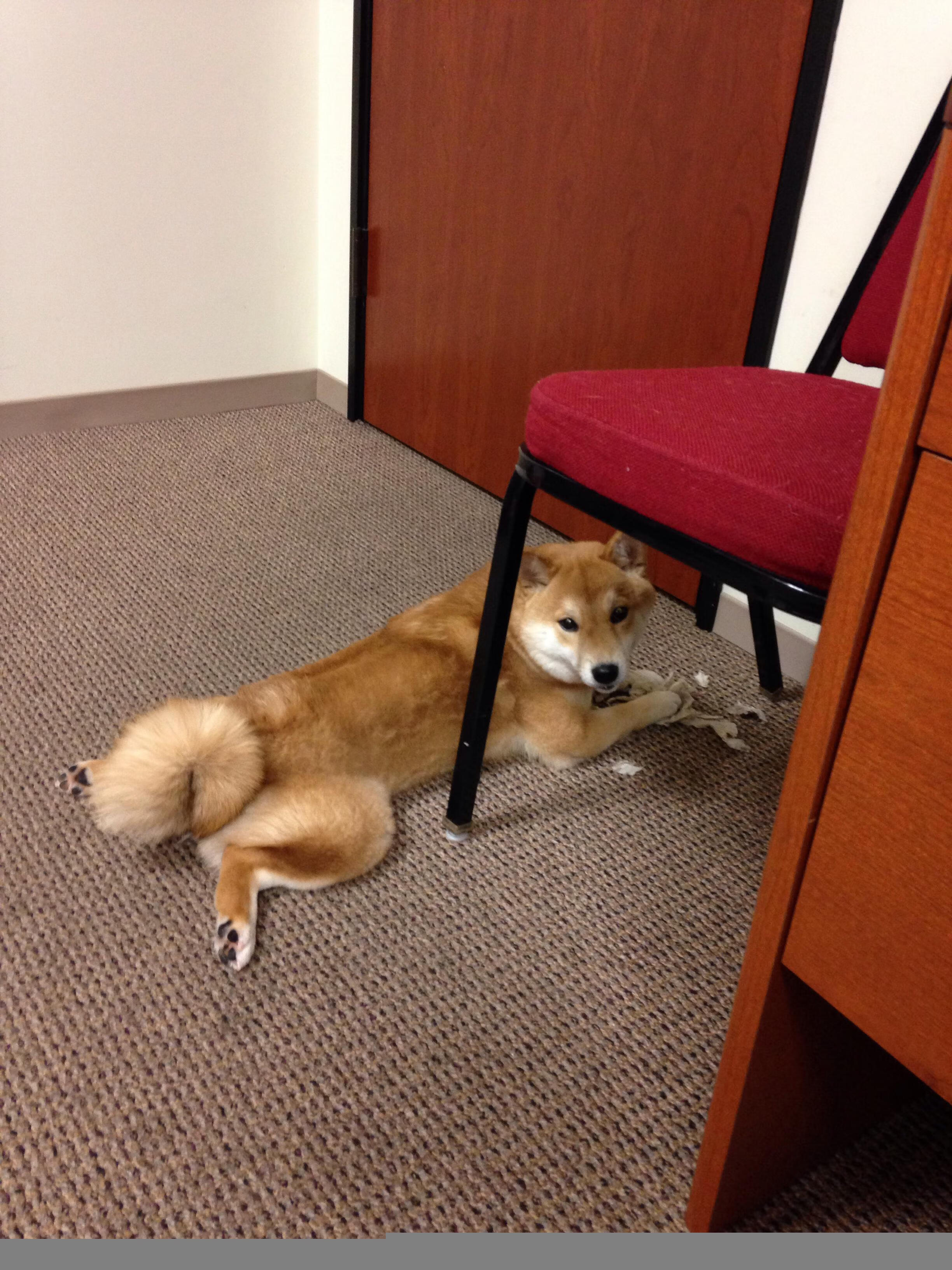 开云·体育官网-火箭客场逆转太阳，全队发挥出色，火箭21分逆转热火