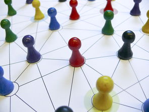 开云首页登录-中国篮球教练员专业能力提升路径，篮球教练员的专业技能包括哪些方面