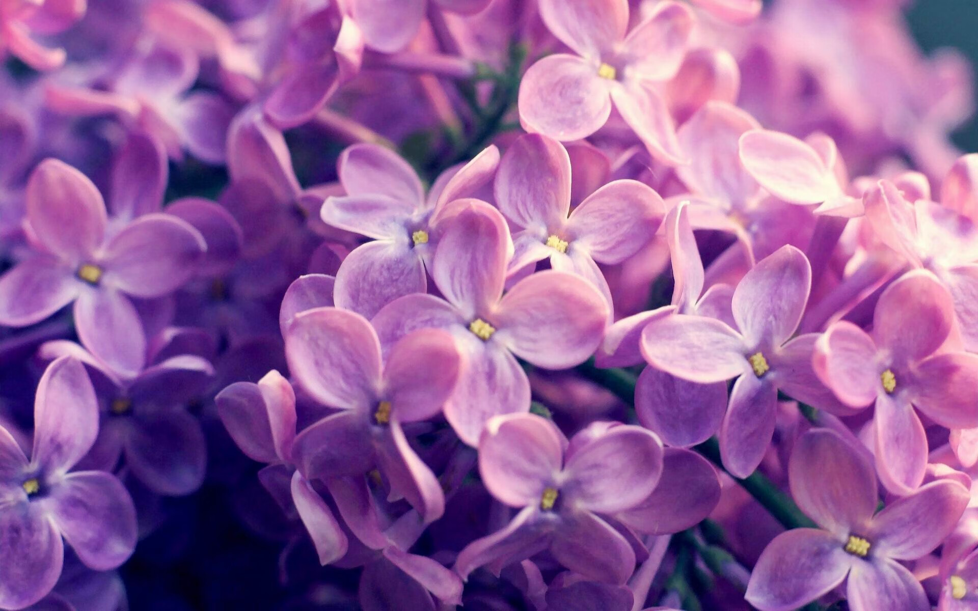 中国足球国家队实力对比报告,中国足球国家队实力对比报告图