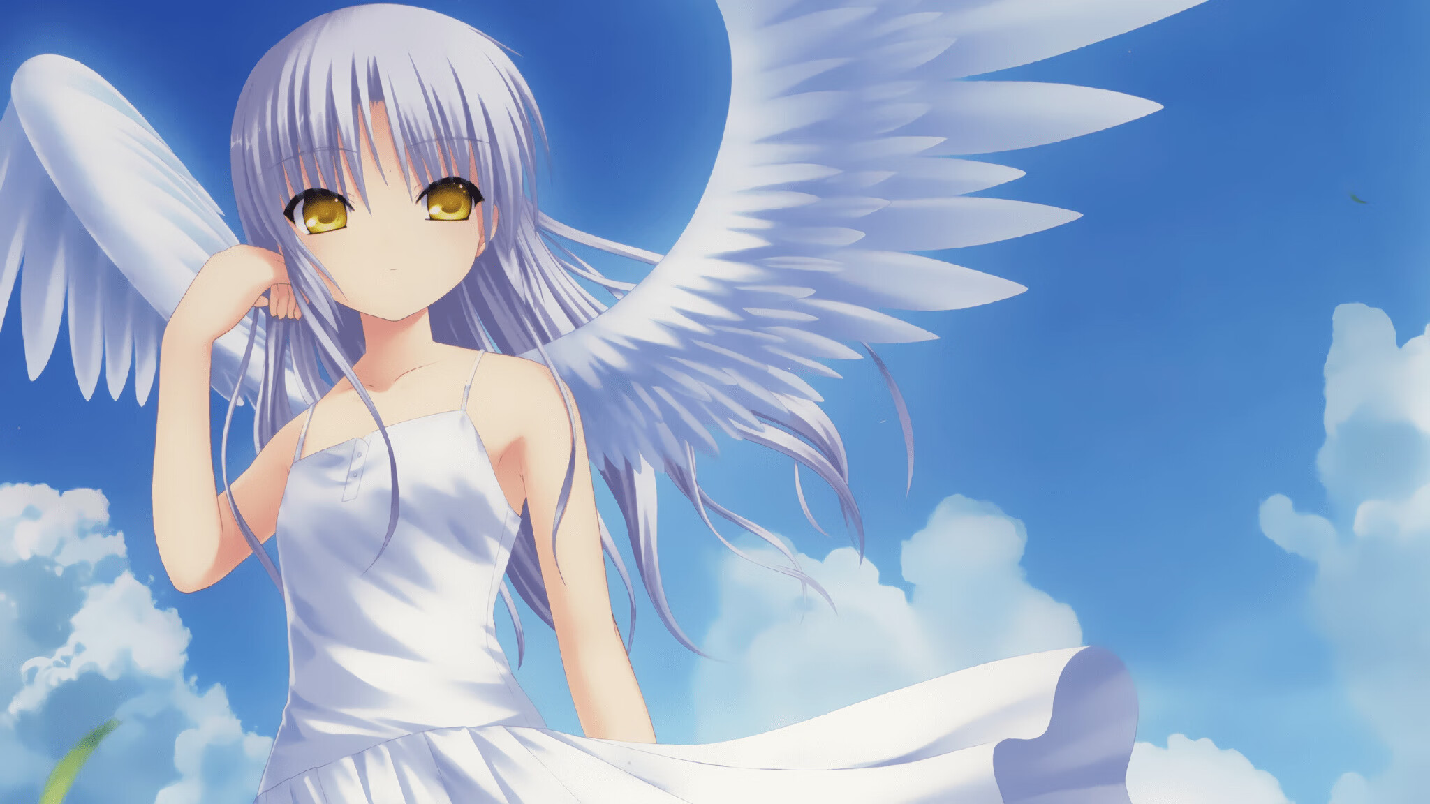 新闻中心发布人才培养方案,人才培养具体实施方案