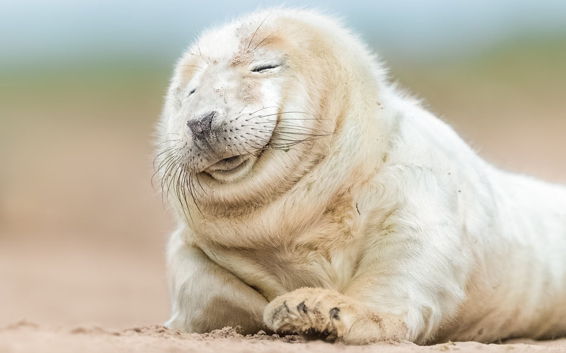 欧洲杯战局变幻莫测：阵型变化引爆战场！，欧洲杯揭幕战前瞻