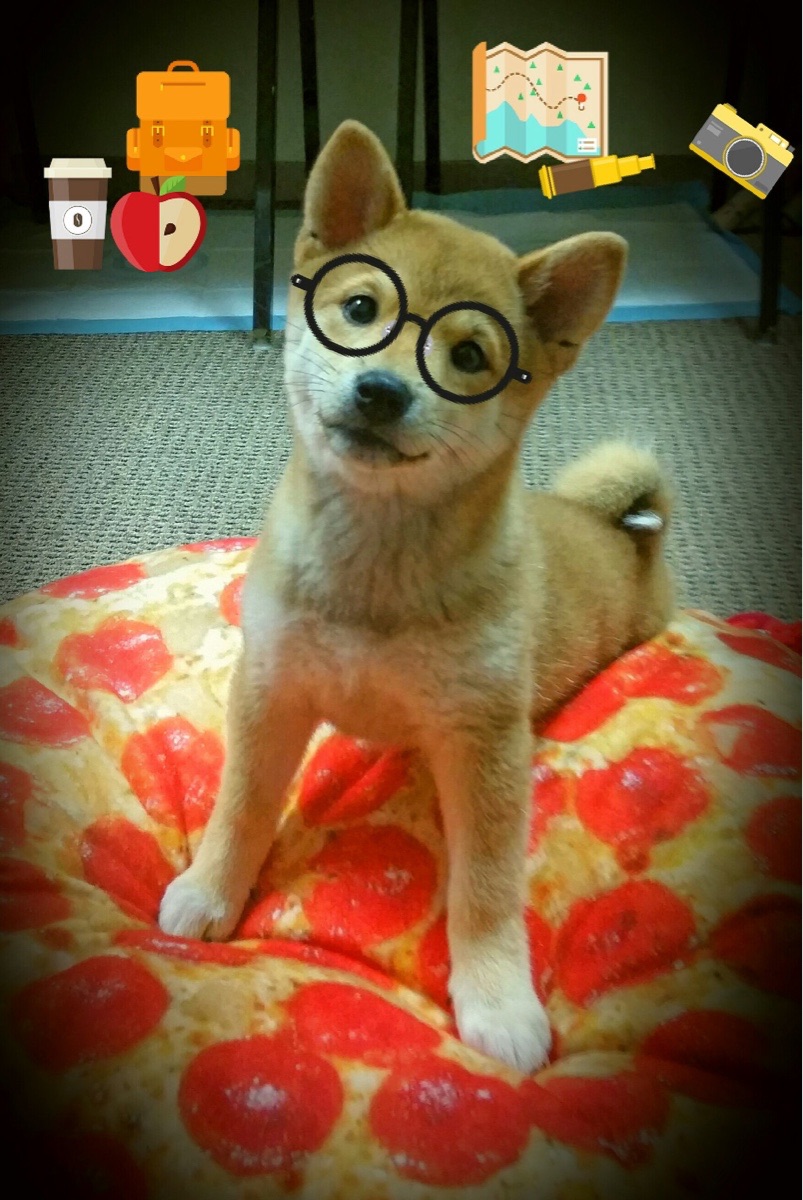 开云·体育官网APP下载-篮球青训营科学评估体系上线运行，篮球 青训