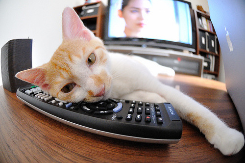 开云在线直播-裁判判罚标准趋于稳定为比赛营造更加公平竞争环境，裁判的规则