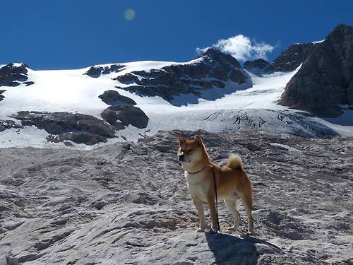 开云网页版-西甲战火再燃：精彩盘带与精准射门不断演绎！，西甲精选
